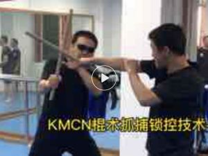 菲律宾棍术主题课程系列