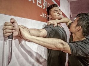 马伽术教官课程（全）