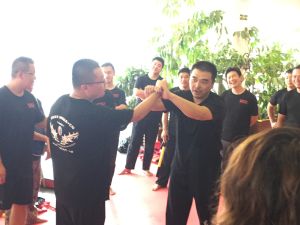 马伽术教官课程（全）