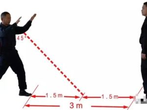 马伽术教官课程（全）