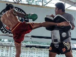 拳击搏击技术主题课程