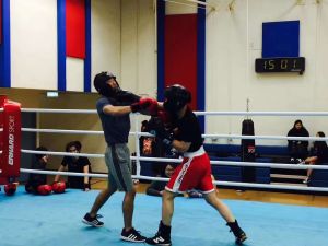 拳击高级技术课程